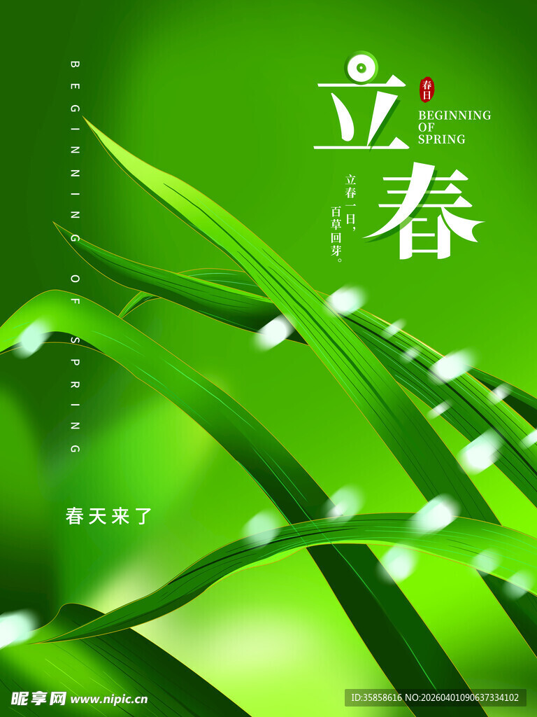 立春时节绿意盎然景象