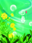 春日清新花卉绿意画面