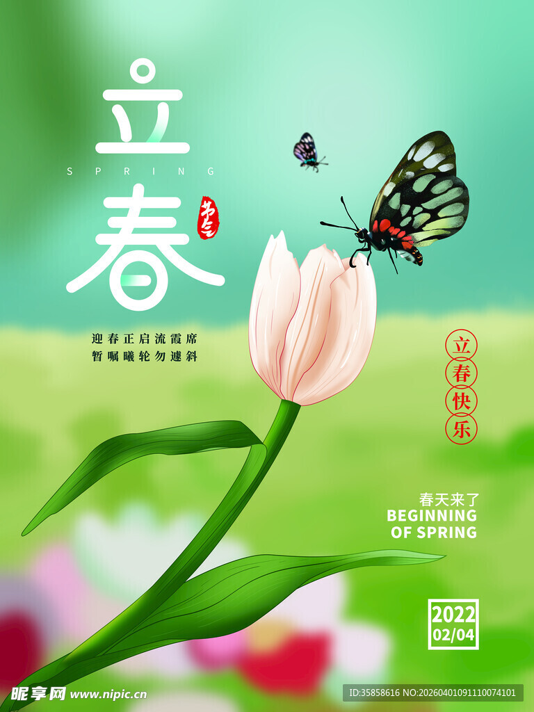 立春时节的花卉与蝴蝶