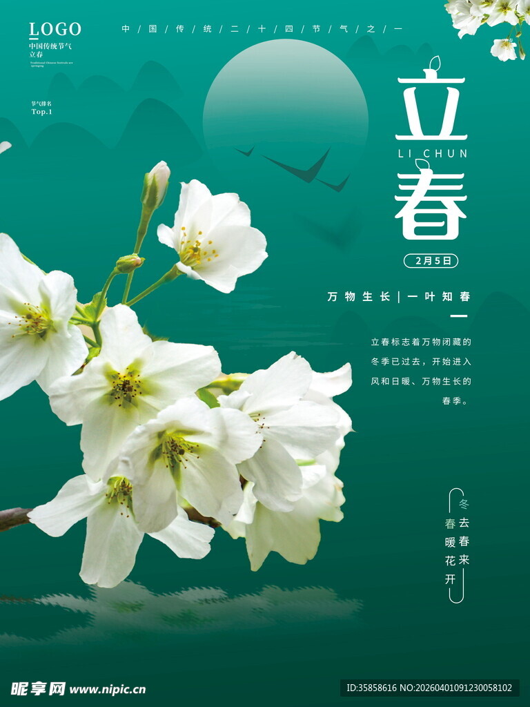 立春时节白花绽放图景