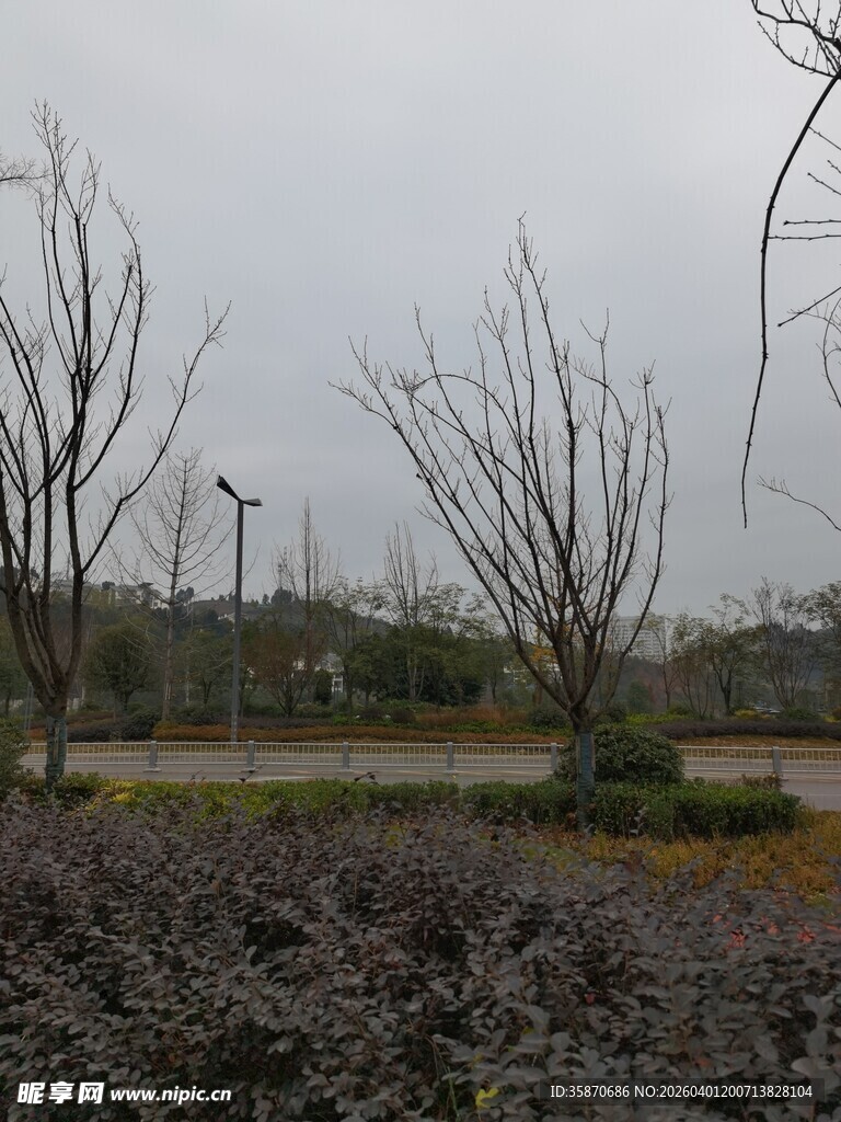 冬日萧瑟园林景观