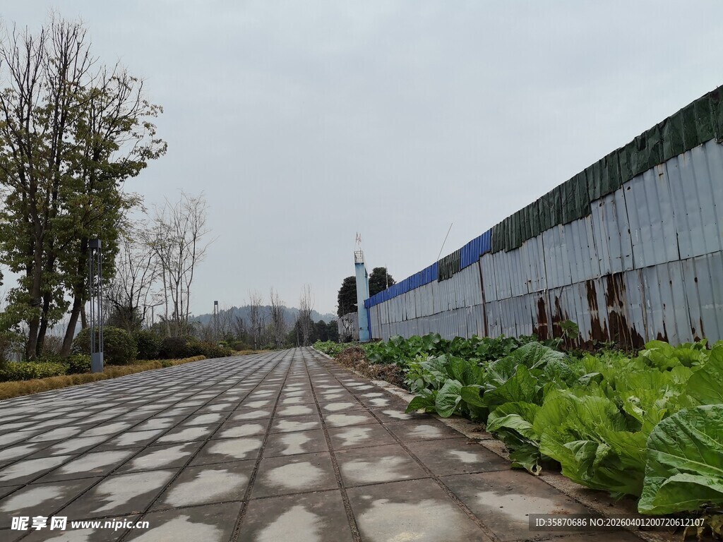 乡村田园中的砖石小路