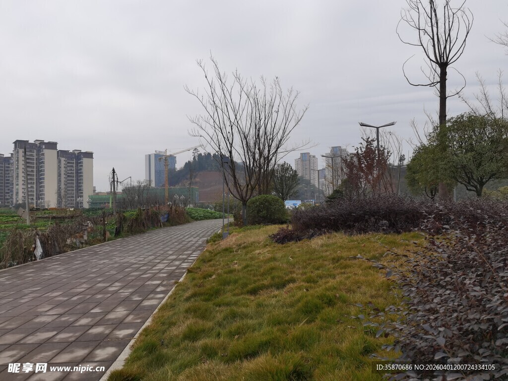 城市中的宁静步道景观