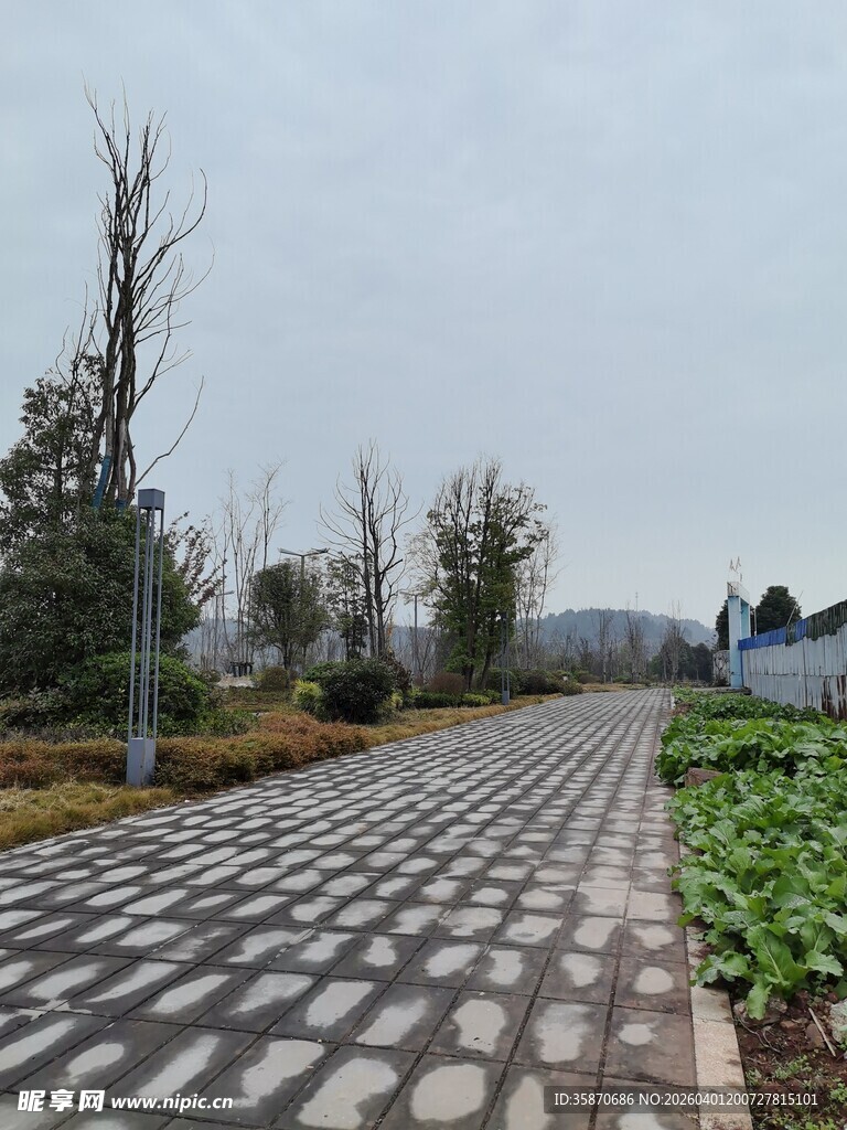 乡村石板路旁的田园风光