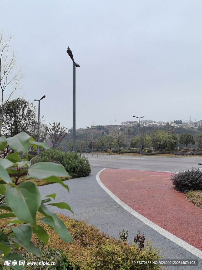 城市公园中的彩色步道景观