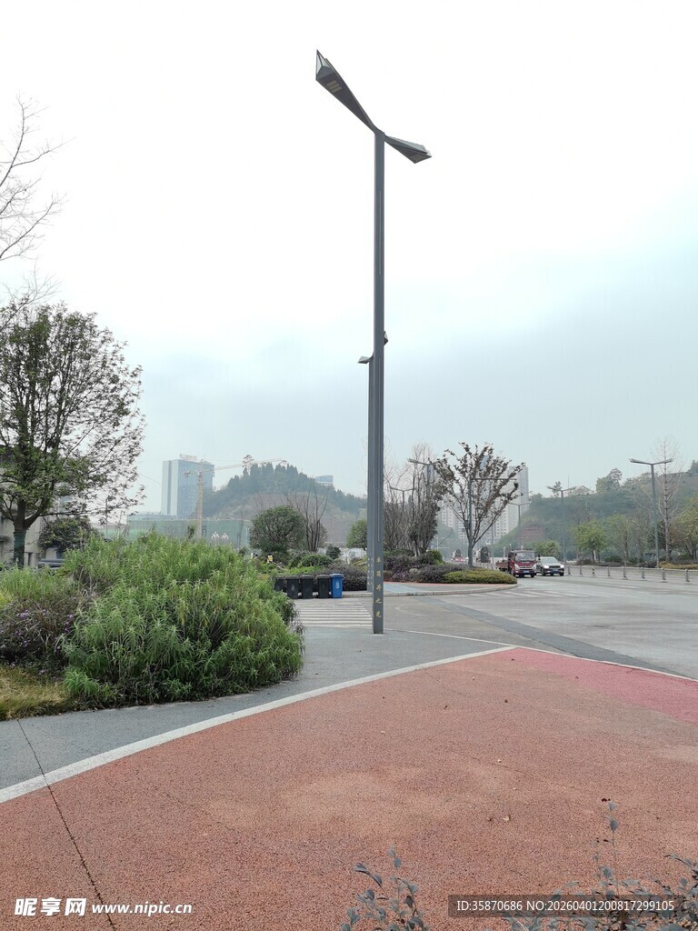 城市道路旁的路灯与绿植