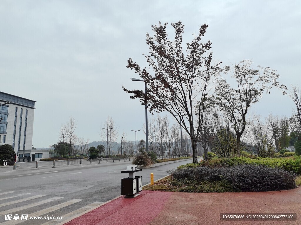 城市道路旁的绿化景观