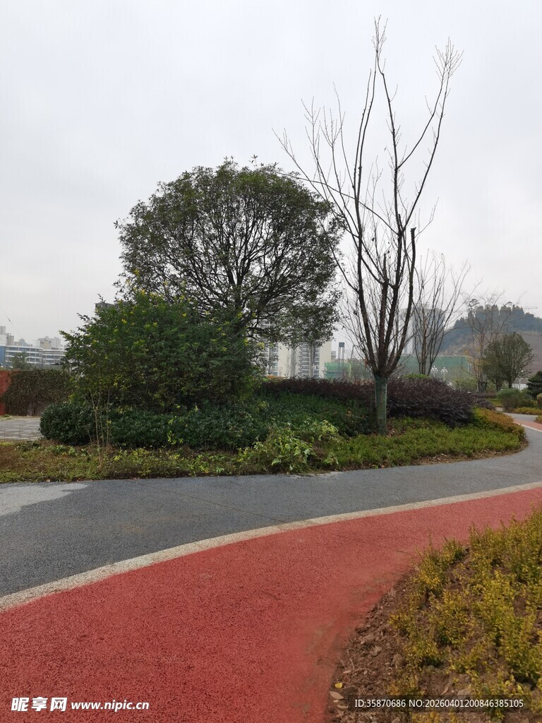公园红色步道与绿植景观