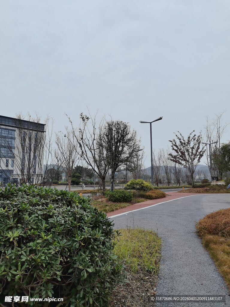 园区内的绿化小径景观