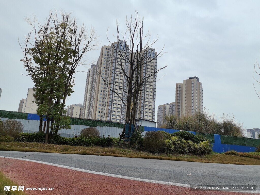 城市道路旁的高楼风景