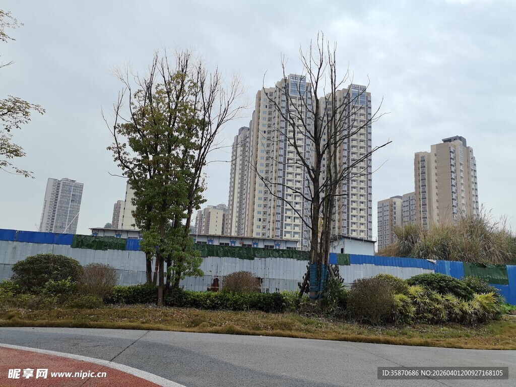 城市道路旁的高楼与绿植