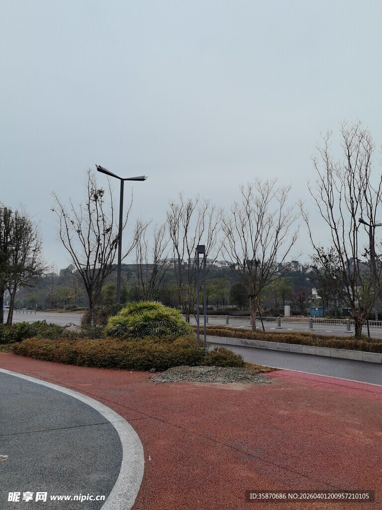 城市道路旁的绿化景观