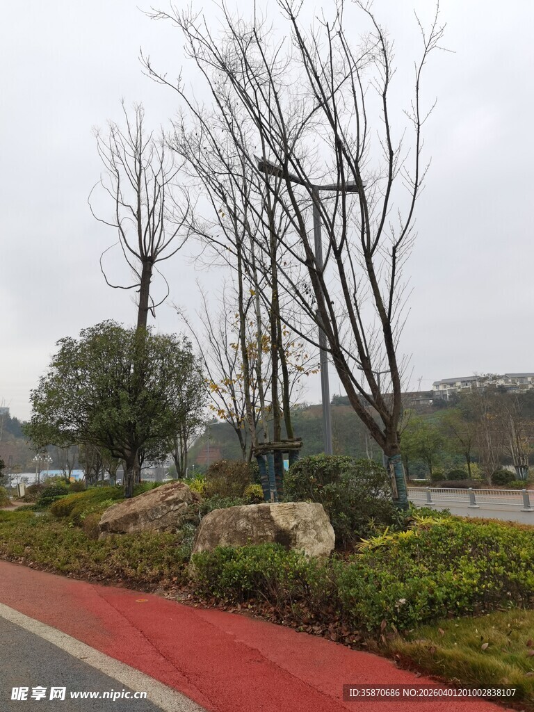 城市道路旁的绿化景观