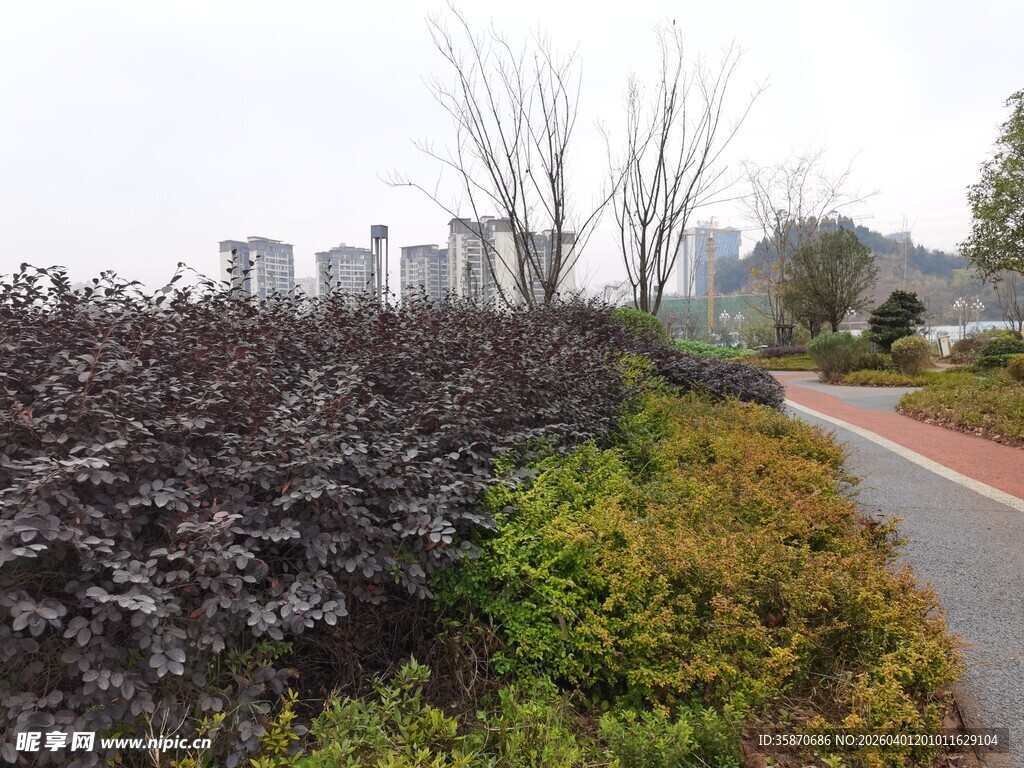 路边多彩植物景观