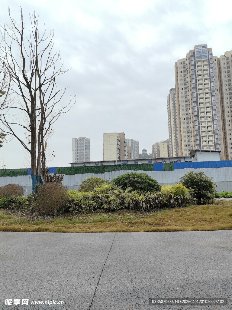 城市道路旁的冬日景象