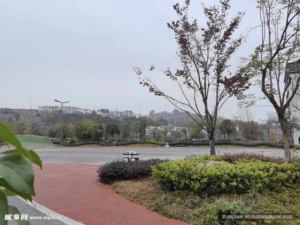 城市公园的静谧道路景观