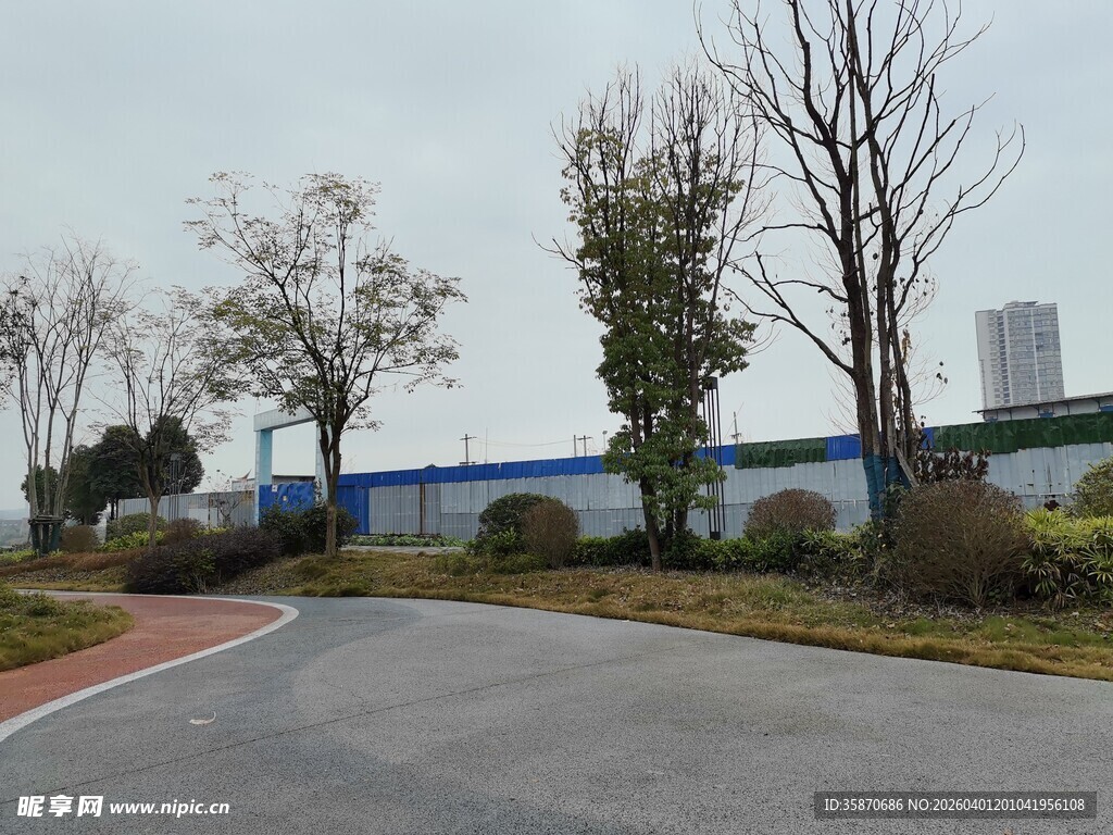 工厂外的道路与树木景观