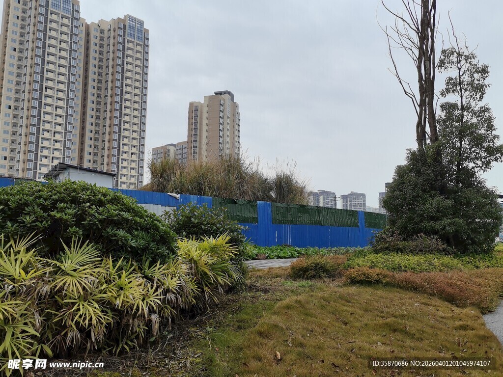 城市中的绿植景观