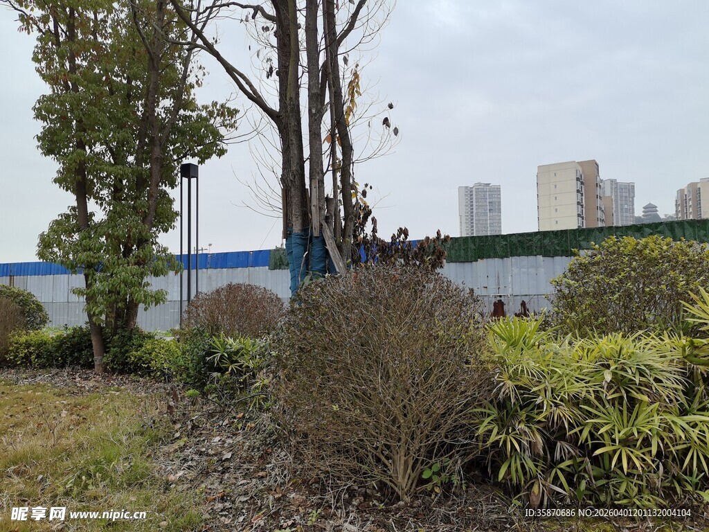 城郊绿植与远处建筑景观