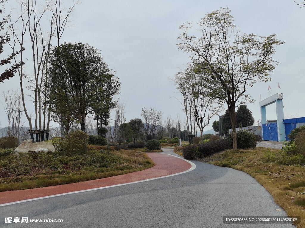 蜿蜒小路旁的绿植景观