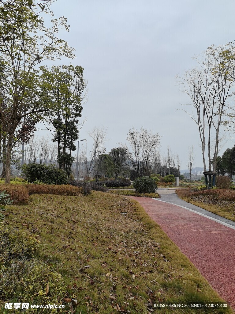 雨后公园的红色步道景色