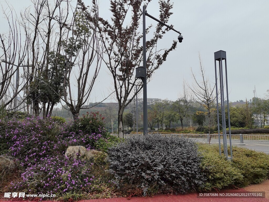 城市公园中的绿植景观