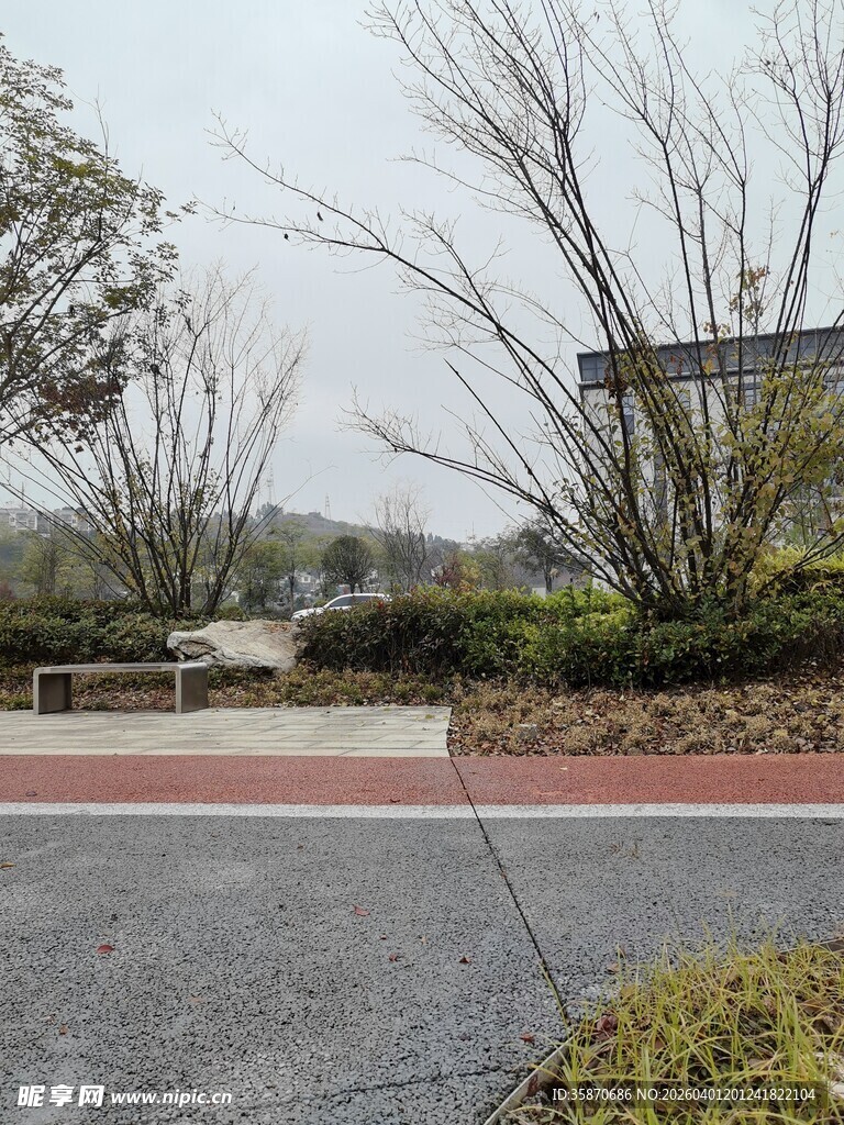 户外静谧园林景观一角