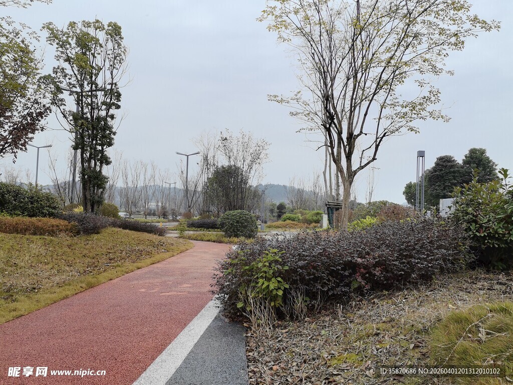 公园中的红色步道与绿植