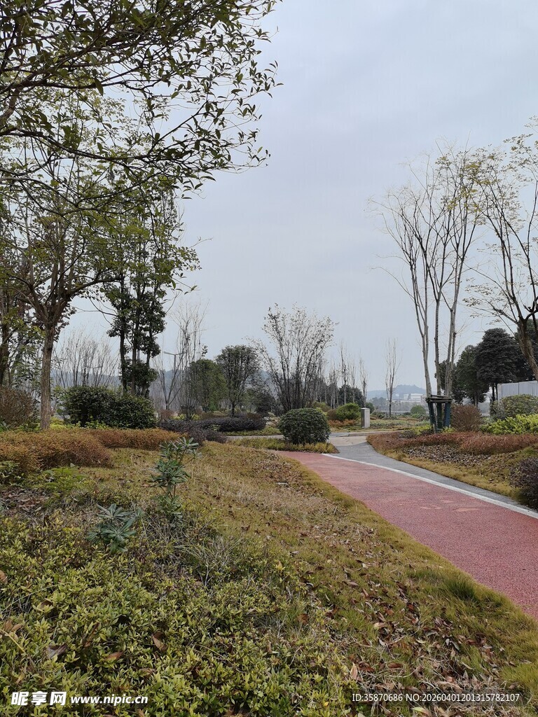 郊外彩色步道旁绿植景观