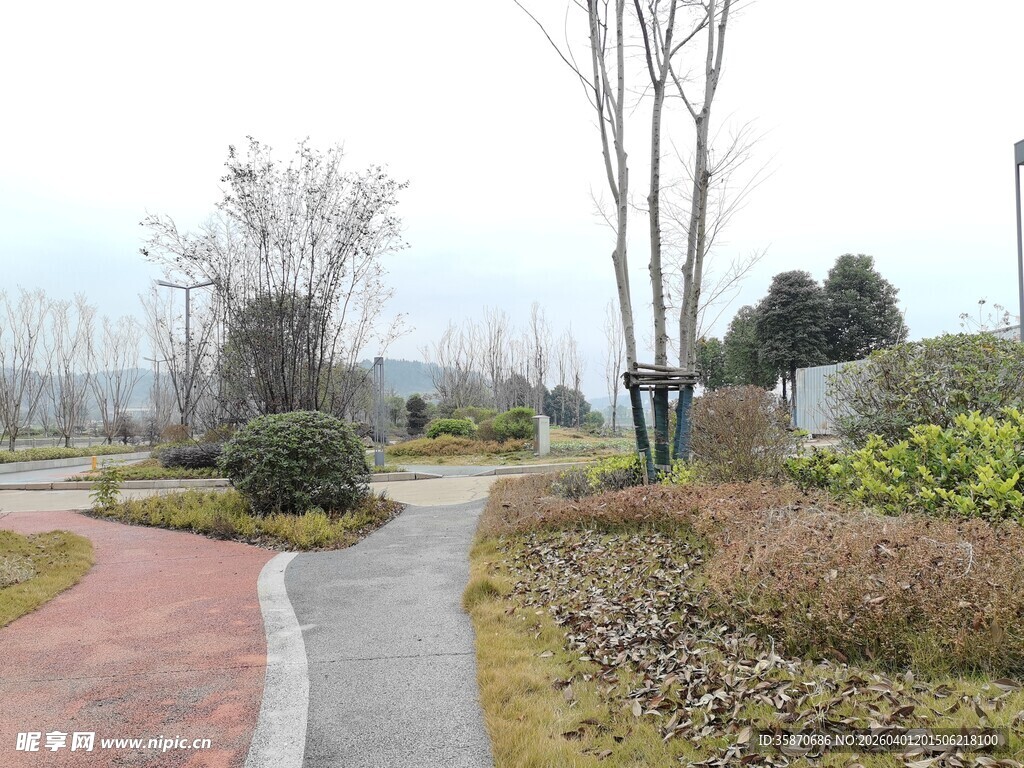 城市公园蜿蜒小径景观