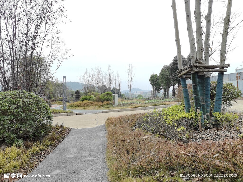 公园中的绿植景观小道