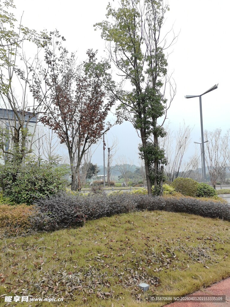 城市中静谧的绿化景观