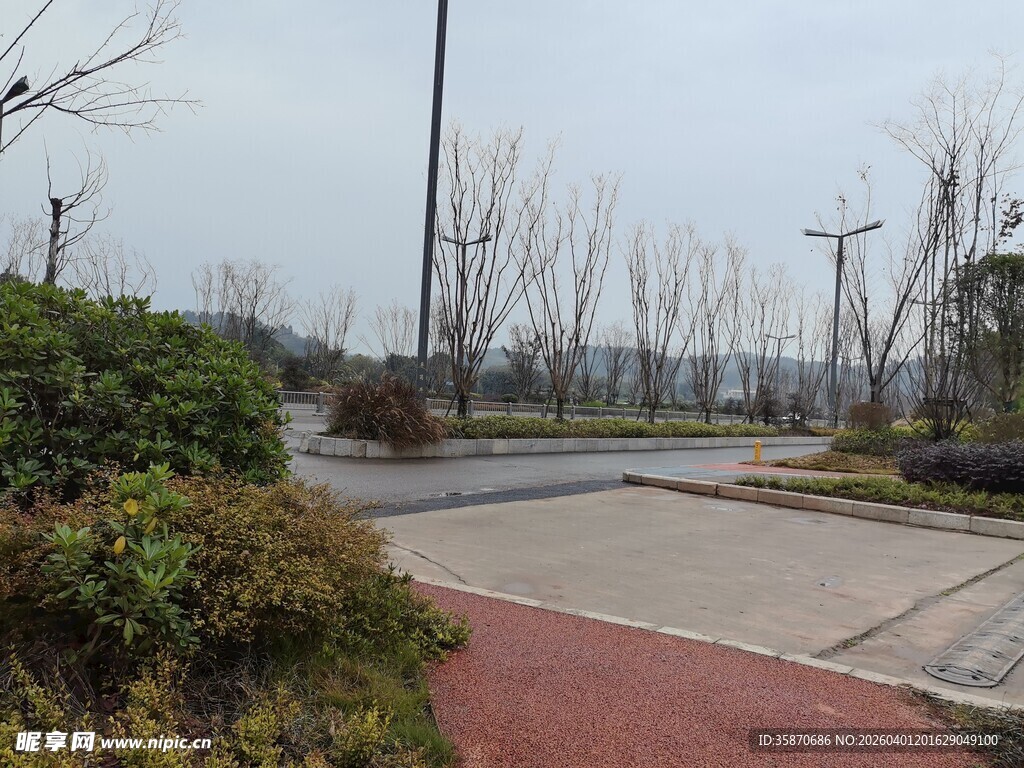 户外道路旁的绿植景观