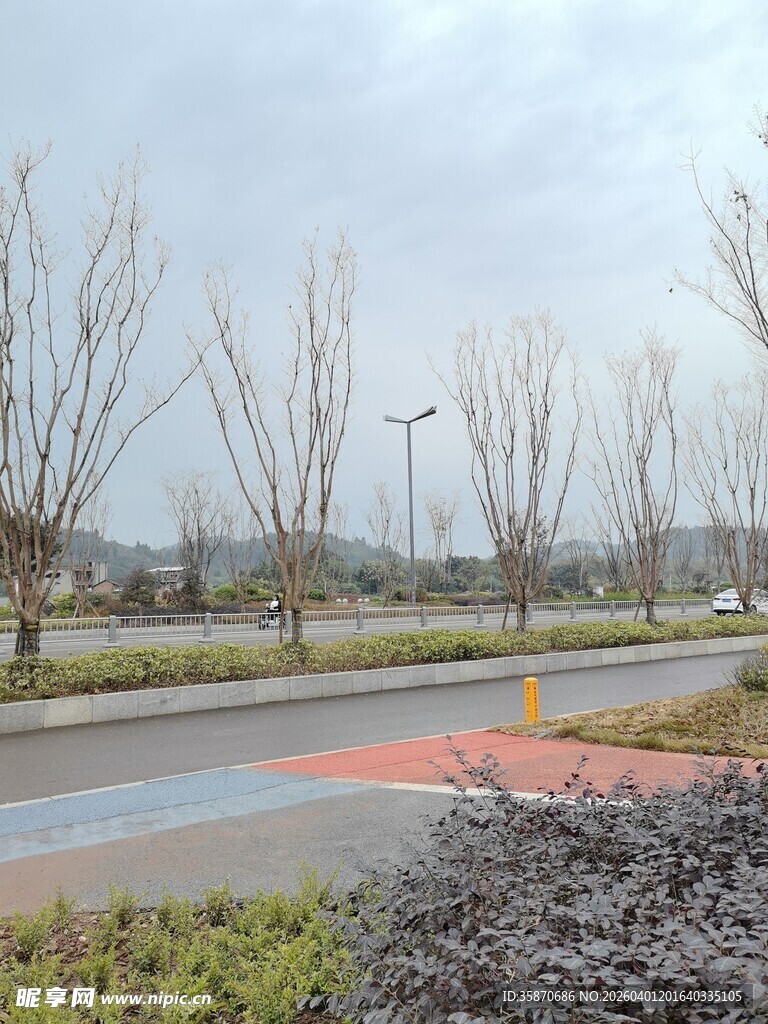 城市道路旁的萧瑟冬日景象