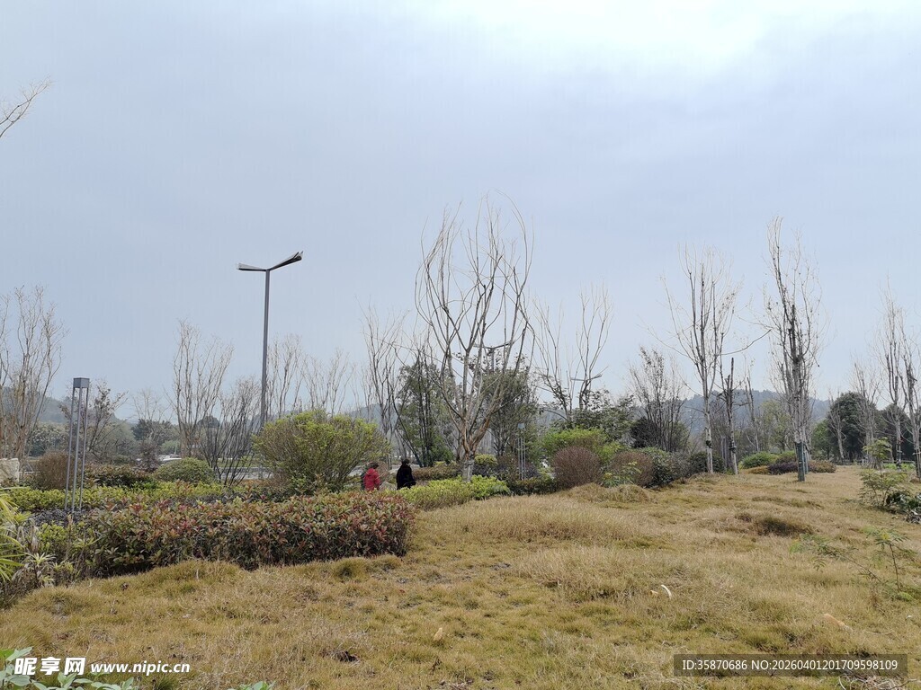 郊外冬日空旷风景