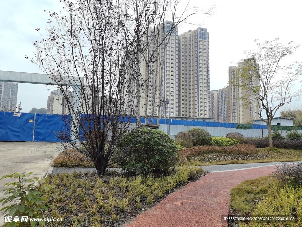 城市中的绿植小径景观