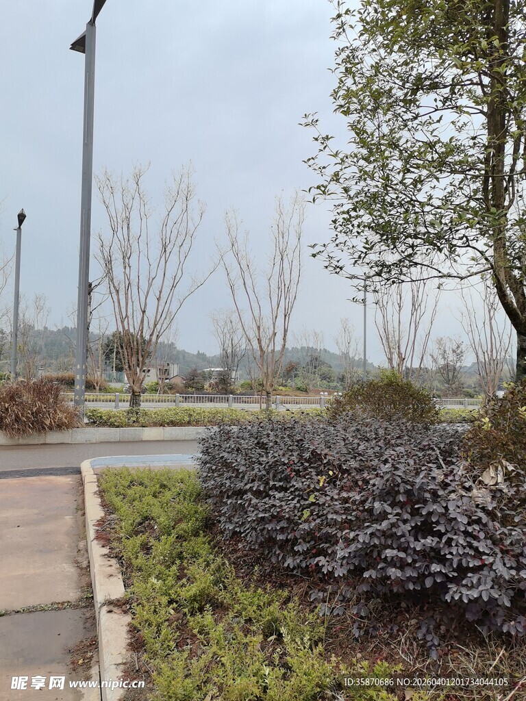 城市户外绿化景观一角