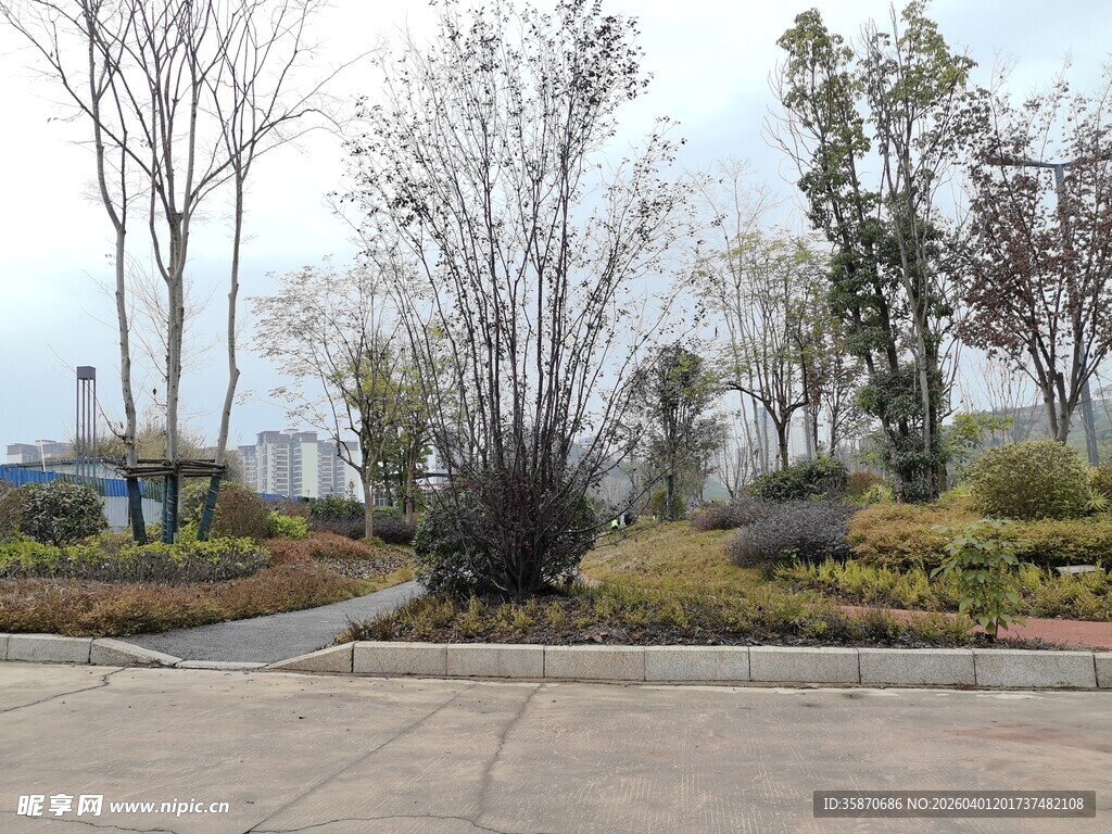 城市街边绿化景观