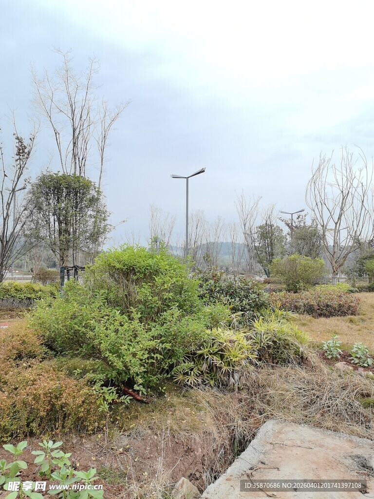 户外绿植景观场景