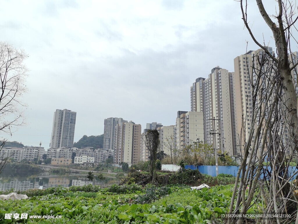 城市边的绿地与高楼景观