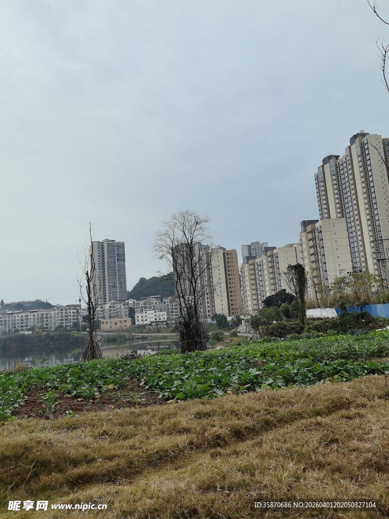 城郊田野与高楼相映成景