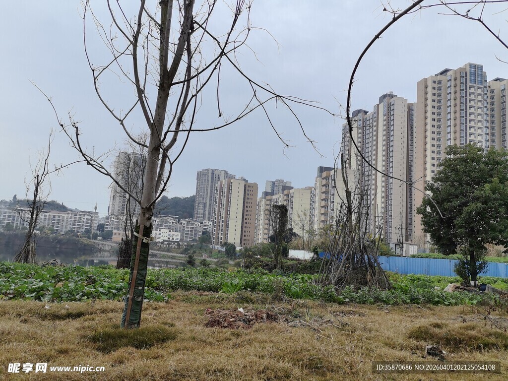 城郊荒地与林立高楼