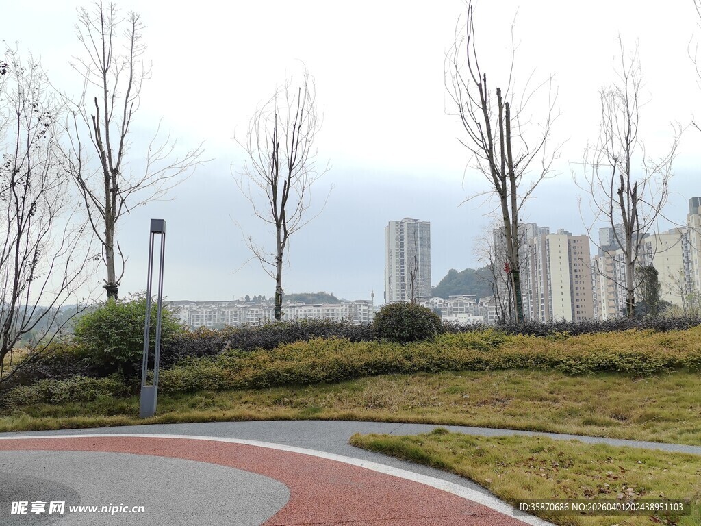 城市道路旁的绿化景观