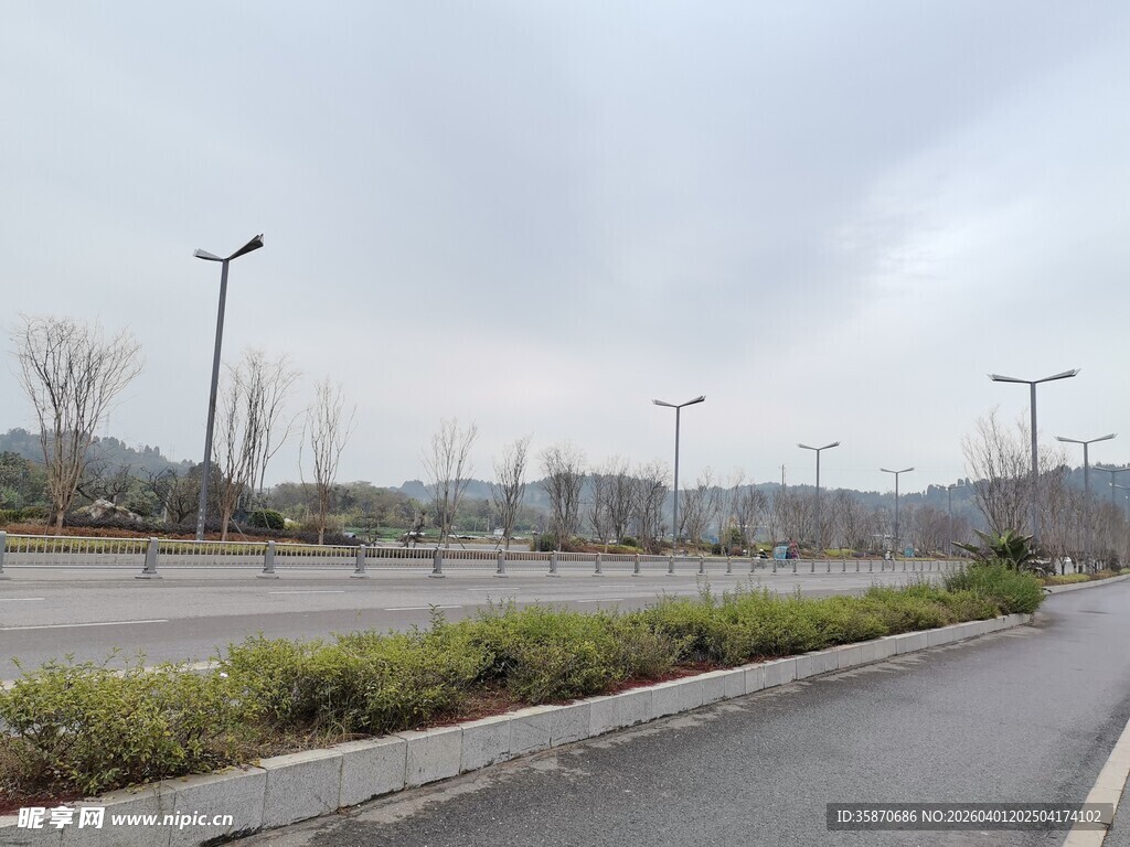 空旷道路旁的绿化带景观