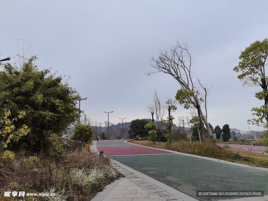 户外宁静的彩色步道景观