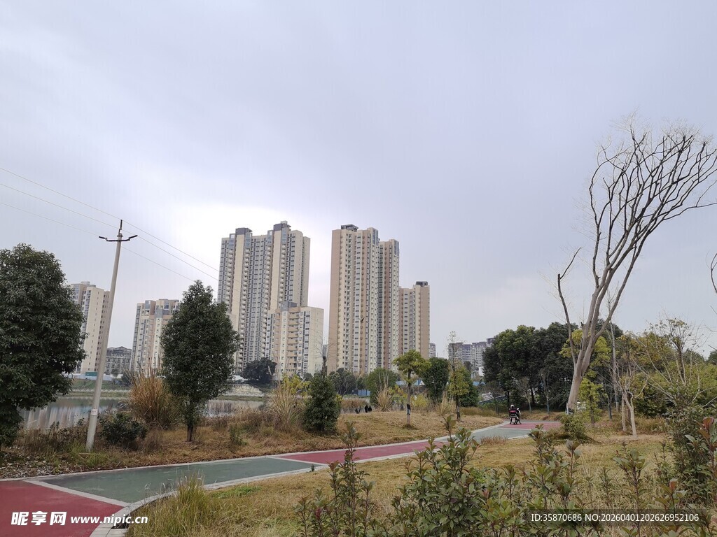 城市公园与远处高楼景观