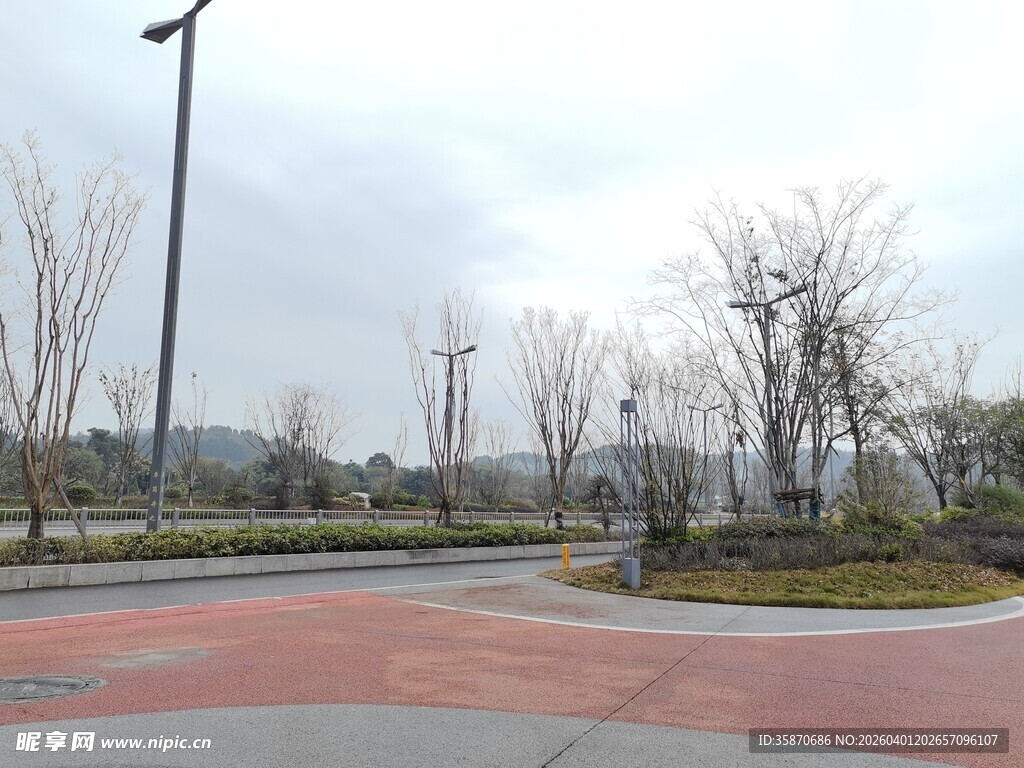 城市公园中的开阔道路景观