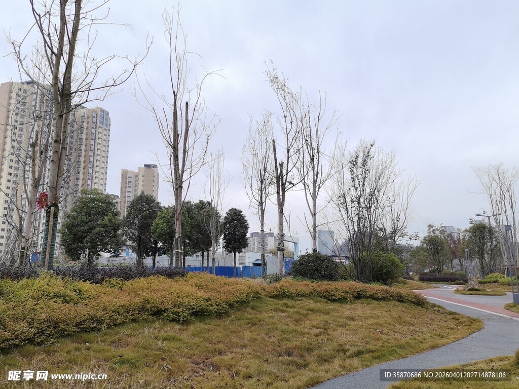 城市公园中的宁静小路