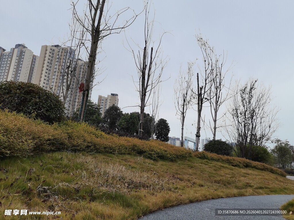 城郊风景冬日植被与建筑