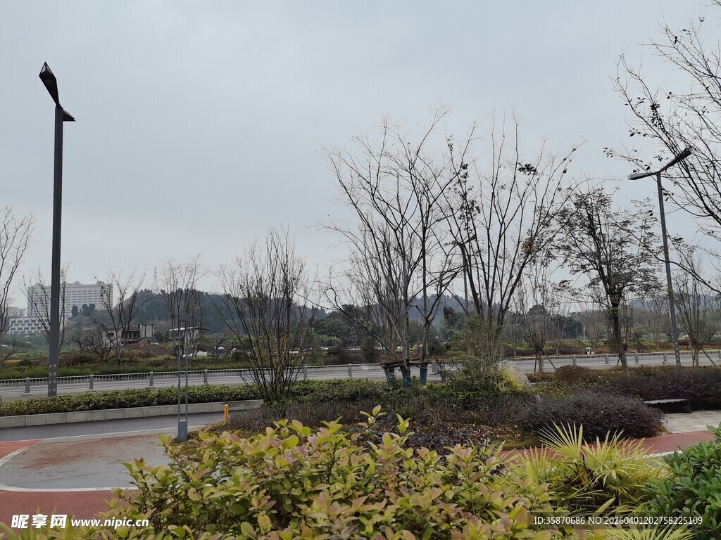 城市公园冬日景观
